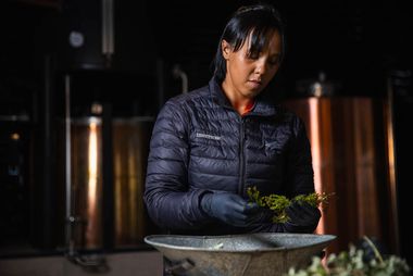 05 fynbos ingredients ql3h7425