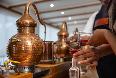 home page gin academy