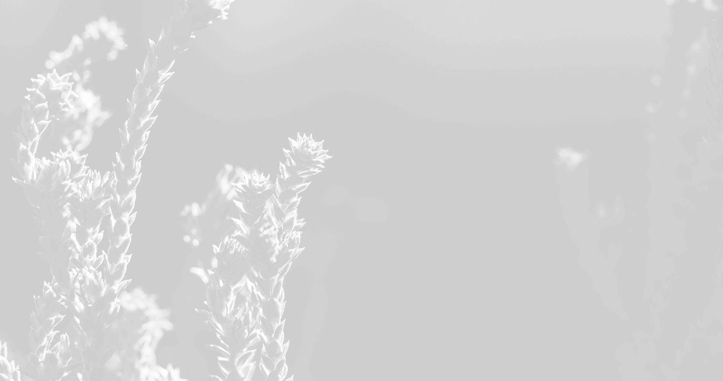 Verdant background